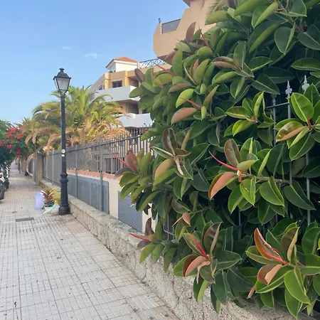 Albatros One Bedrooms