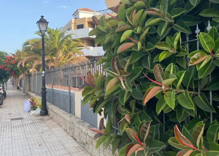 Albatros One Bedrooms